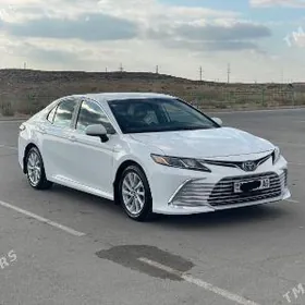 ️SAFYORLYK IS GEREK ARASSA️