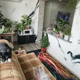 11-МКР 3-КОМНАТЫ 4-ЭТАЖ