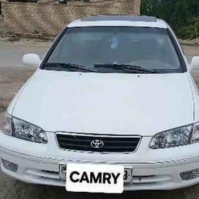 Toyota Camry 1999