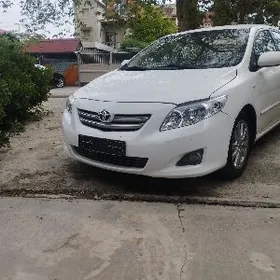Toyota Corolla 2008