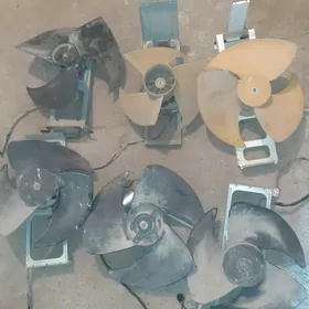 Kansaner zapjaslary ba galany