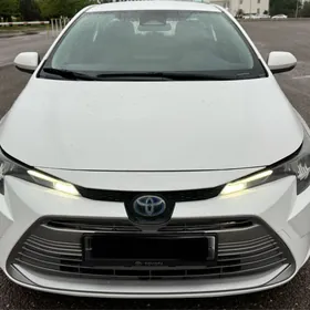Toyota Corolla 2023