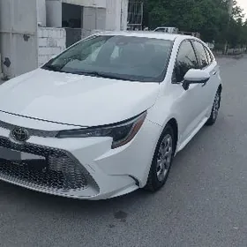 Toyota Corolla 2019