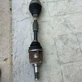 Granat haylander 2020