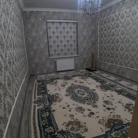 POL ELITKA GURTLY LIFLY