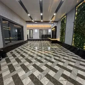 COGONLY KOTEŹ 5 KOM