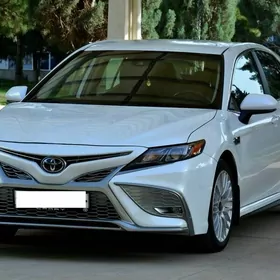 Toyota Camry 2020