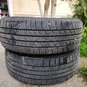 teker haylander higlander