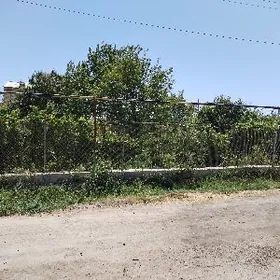 Дача берзенканал