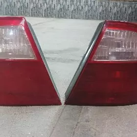 Stop çyra Karolla Haliji