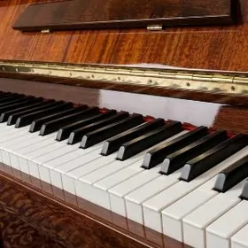 Пиянино Аккорд Piýanino Akkord