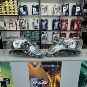 Prado 14-15 fara taze