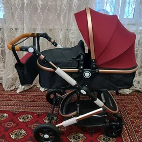 Tazeje Belecoo kalyaska 