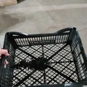 Yessik,Yassik,яшик15лик