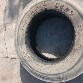 295.80.22,5 saÿlun s629