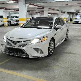 Toyota Camry 2020