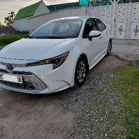 Toyota Corolla 2024