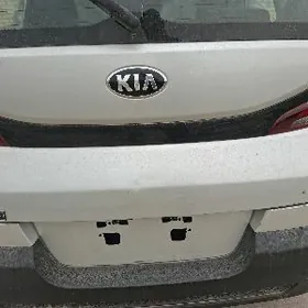 Kia soul Evo kowrik