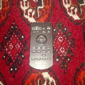 Pioner pulit arginal