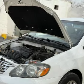 MOYKA isgar gerek 50/50