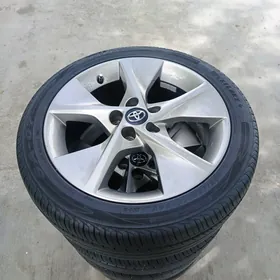 palta disga pakrysga 18 argina