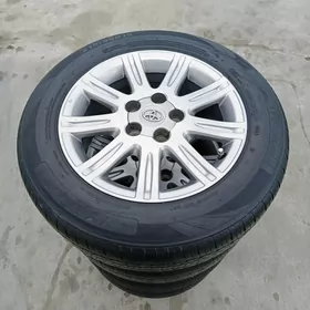 limited 1 disga pakrysga 16