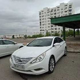 Hyundai Sonata 2010