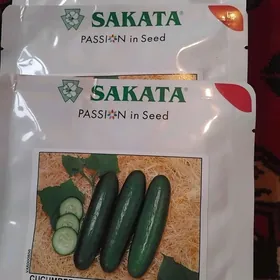 Hyÿar.tohym.SAKATA.