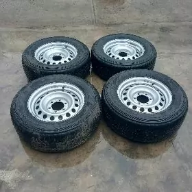 17lik arginal hailuks disga te