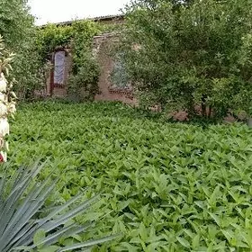 План жай центр