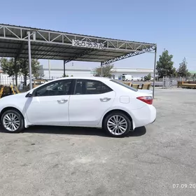 2014 Haliji karolla 17 lik