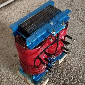 Tok kopeltyan Ток