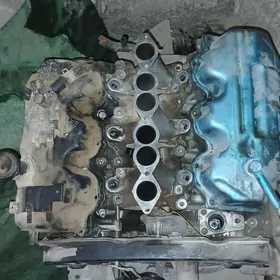 PATHFINDER MATOR KAROPKA ZAPCA