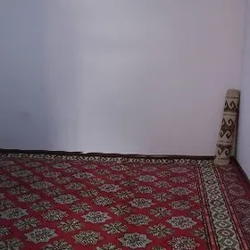 Büzmeýin krug arenda