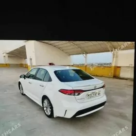 Toyota Corolla 2021
