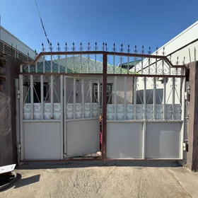 Satlyk coganly 3 sotuk balkan