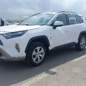 Toyota RAV4 2023