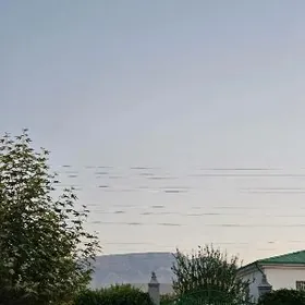 elitka plan jaý howly