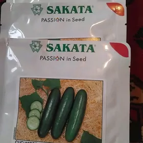 Hyÿar.Tohym.SAKATA.