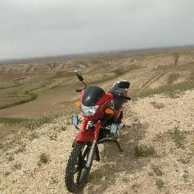 Fekon FK200-14G 2026