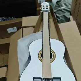 Gitara Klassik Professional