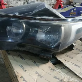 carolla far 2015 haliji