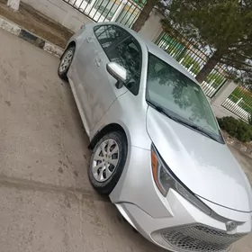 Toyota Corolla 2021