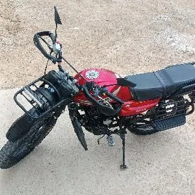 Fekon FK200-14G 2022