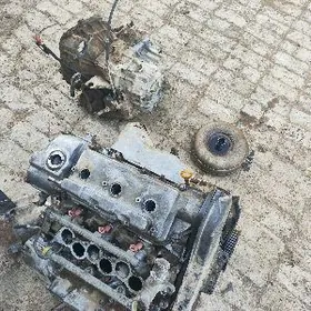 Motor,koropka