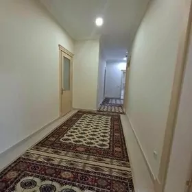 ÇEHOW ELITKA EYESINDEN