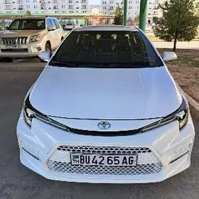 Toyota Corolla 2019