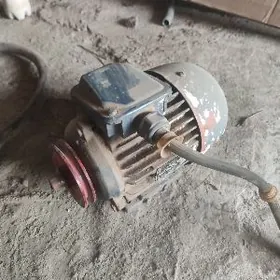 электродвигатель