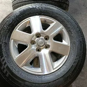 Sienna disge pakyryşga 16