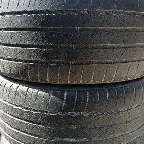 PAKRIŞKA MIŞLEN